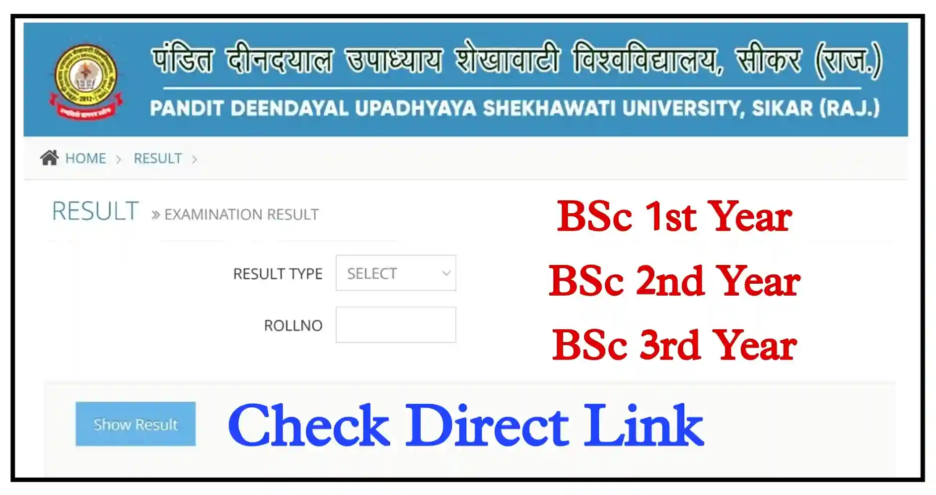 Shekhawati University BSc Result 2023 Out Now, PDUSU BSc 1st, 2nd, 3rd Year Result Check Direct Link
